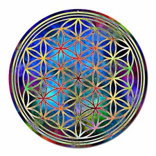 Acchiappa-Sole Fiore Vita