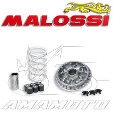 MALOSSI 5111808 VARIATORE