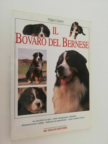 Bovaro del bernese - il,