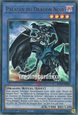 Yu-Gi-Oh! Paladin du Dragon Noir : DLCS-FR069 UR
