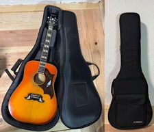 Chitarra elettrica acustica