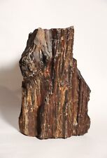 Tronco  legno di cipresso