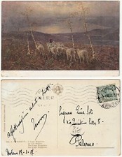 ILLUSTRATORE - ARTIST SIGNED - A. TOMINETTI - IL LAGO MAGGIORE - VIAGG. -99345-