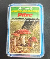 Pelikan Quartetto Funghi