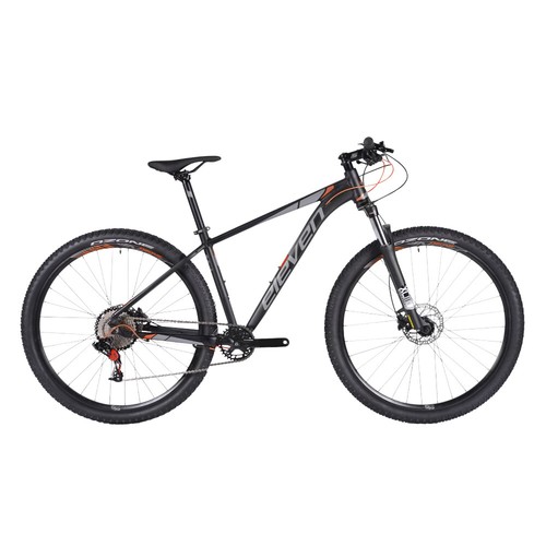 Bici mountain bike mtb disco