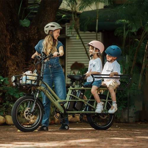Bicicletta elettrica - , 20