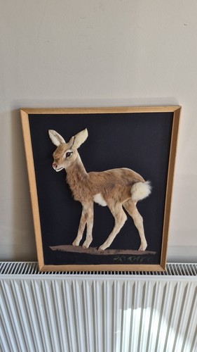 Vintage real fur deer fawn - deer,