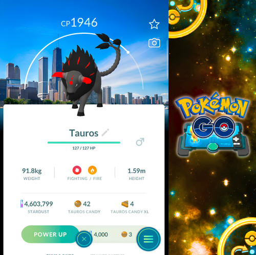 Paldean tauros blaze - tauros,