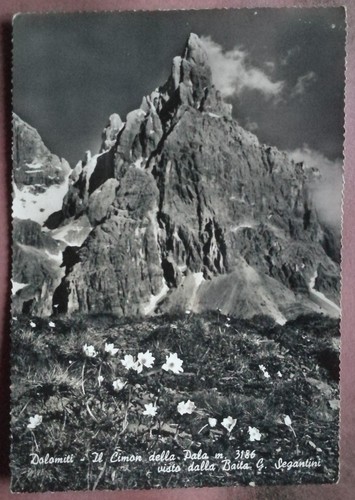 Dolomiti cimon della pala - dolomiti,