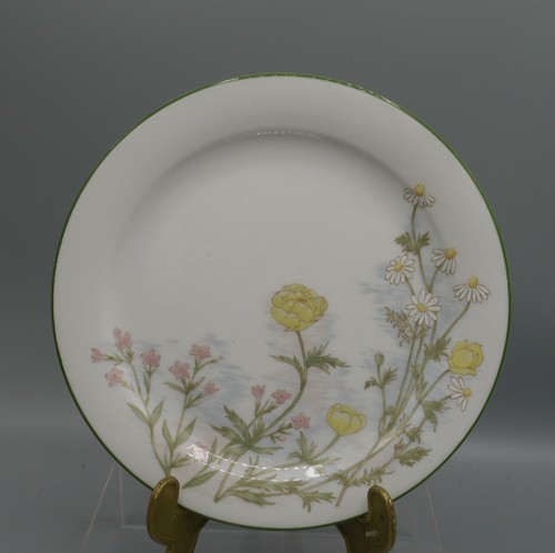 Eschenbach danmarks flora - eschenbach,