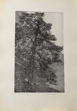 FEDERICA GALLI -incisione -