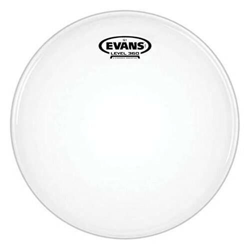 Evans bd22g1 pelle - evans,