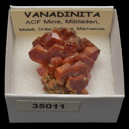 Vanadinita acf mine - vanadinita, (acf