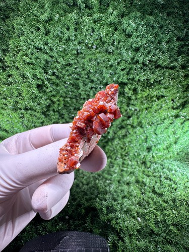 Esemplare unico vanadinite - di,