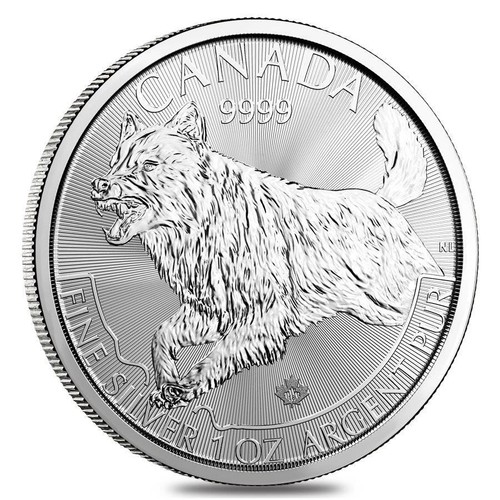 Canada predators wolf - predators, 5