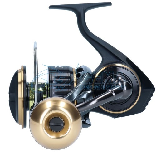 Daiwa mulinello mq ark - mulinello, bg