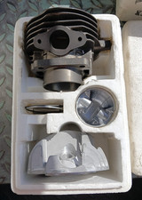 GRUPPO TERMICO PINASCO D 55