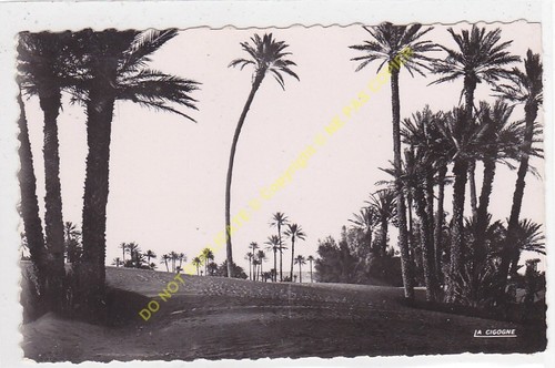 Cpsm marocco sud marocchino - cpsm,