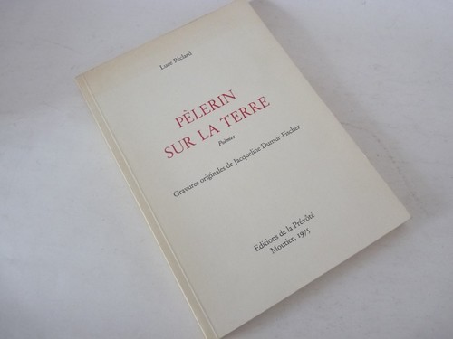 Libro pellegrino sulla - libro,