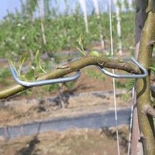 Spaccalegna rami albero da