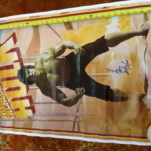 Incredibile poster - ,