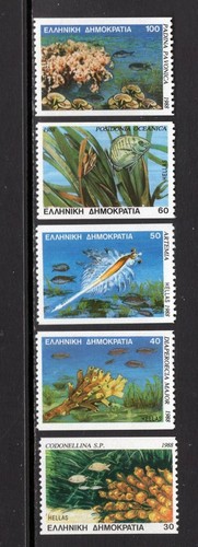 Grecia 1988 marine life - marine,