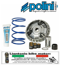 NUOVO VARIATORE POLINI