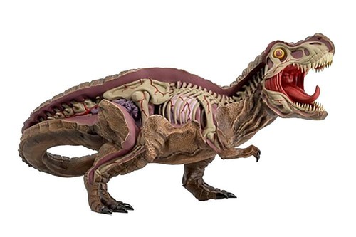 Jurassic park rex - park, t-rex