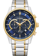 Citizen AN8194-51L Quarzo