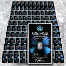 ARGENTO 100 LINGOTTI