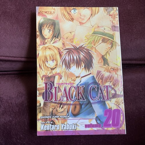 Gatto nero vol - manga, prima