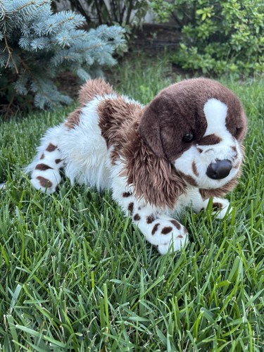 Peluche cane douglas - cane,