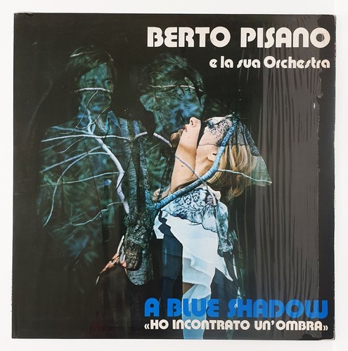 Berto pisano incontrato - ho,