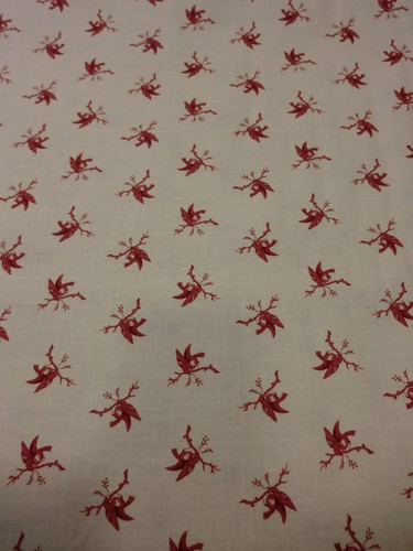 Tessuti 100 cotone tessuto - cotone,