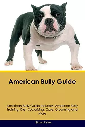 American bully guide - bully,