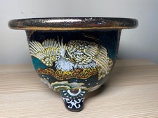 Vaso decorativo Neofinetia