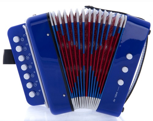 Fisarmonica bambino luca con - bambino,