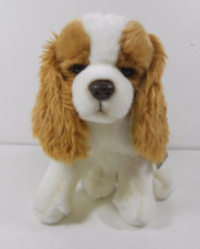 LORD KING CHARLES DOG SITTING