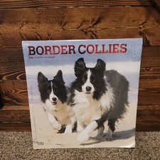 Border Collies 2022 Square