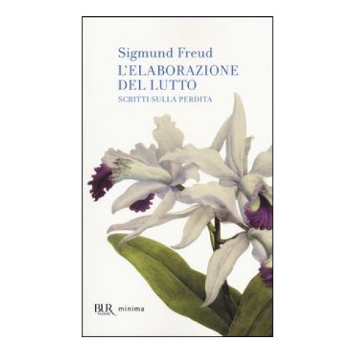 Libro elaborazione del lutto - libro, l'elaborazione