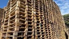 Lotto 100 pallets - 100, bancali