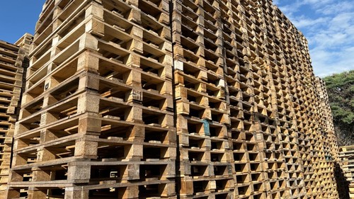 Lotto 100 pallets - lotto, bancali