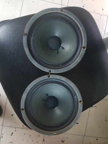 Coppia woofer coral - di,