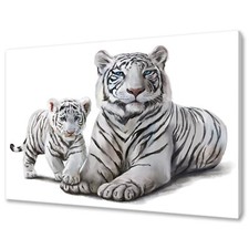 Acquerello bianco tigre e