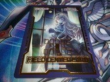 YU GI OH BELLA FANTASMA & MANIERO INFESTATO - DUDE FIELD CENTER
