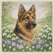 Cane cucciolo pastore tedesco
