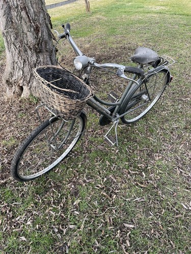 Bicicletta donna the raleight - donna,