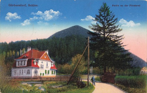 Lotto alla foresta