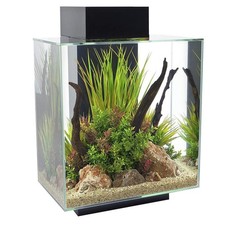 Askoll fluval edge 46l nero - askoll,