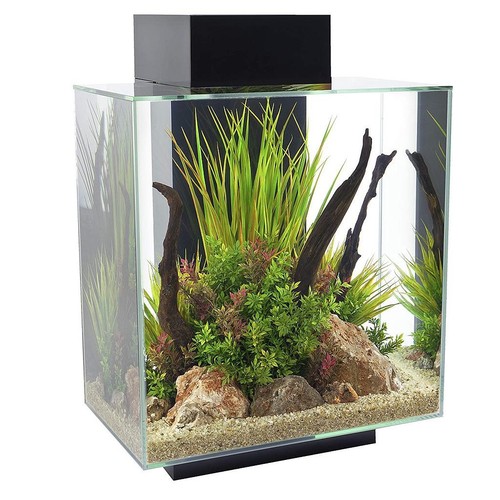 Askoll fluval edge - fluval, 46l